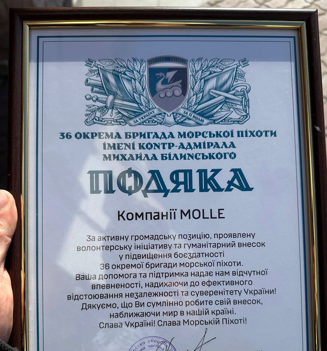 подяка 36 бригада морська піхота компанія молле панель